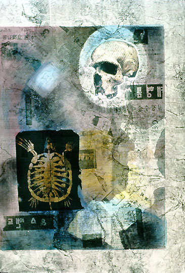 painting with turtle skeleton and skull