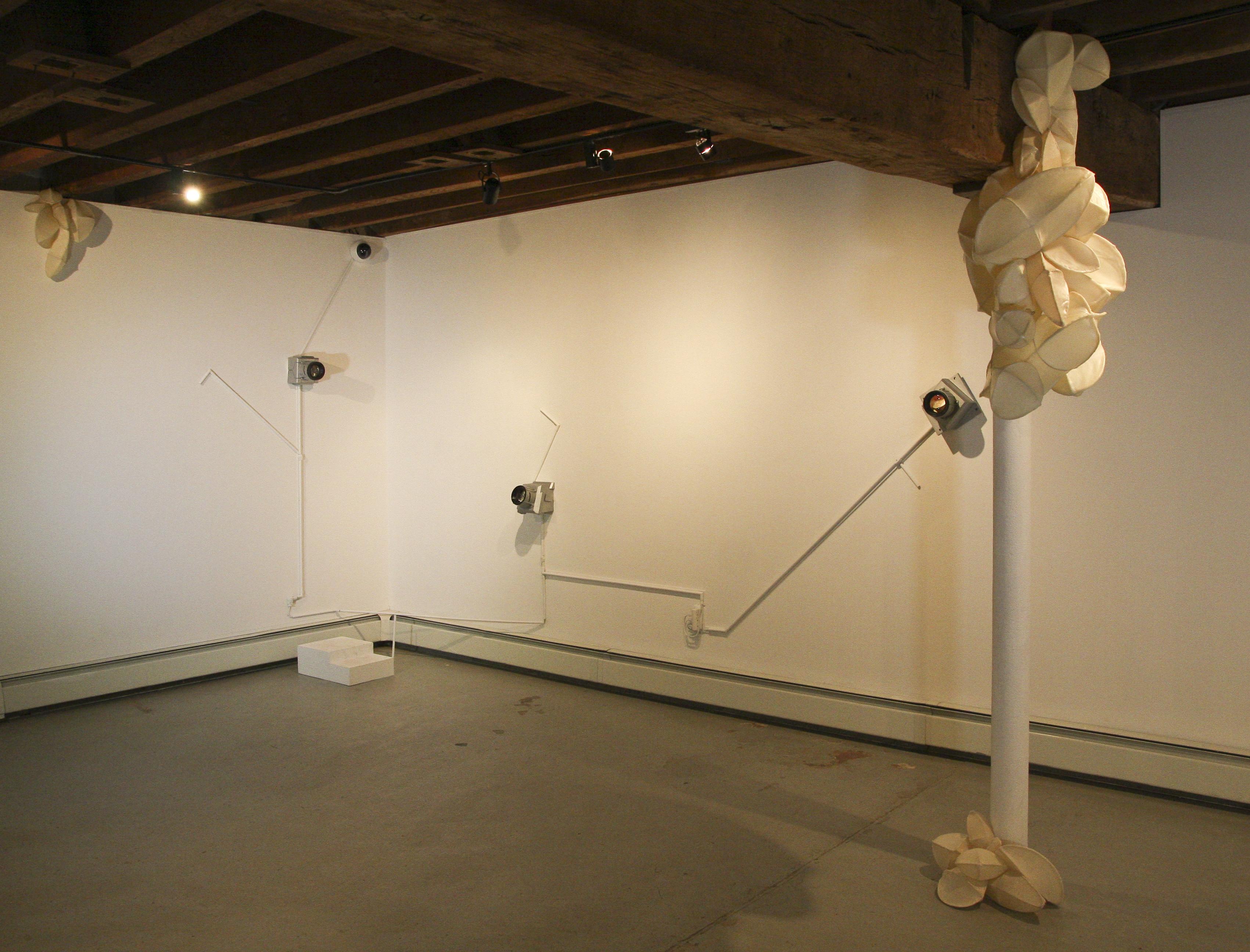 From the installation of College of the Arts alumna Gianluca Bianchino's (MFA '11) exhibition at "Through the Lens" at Hunterdon Art Museum.