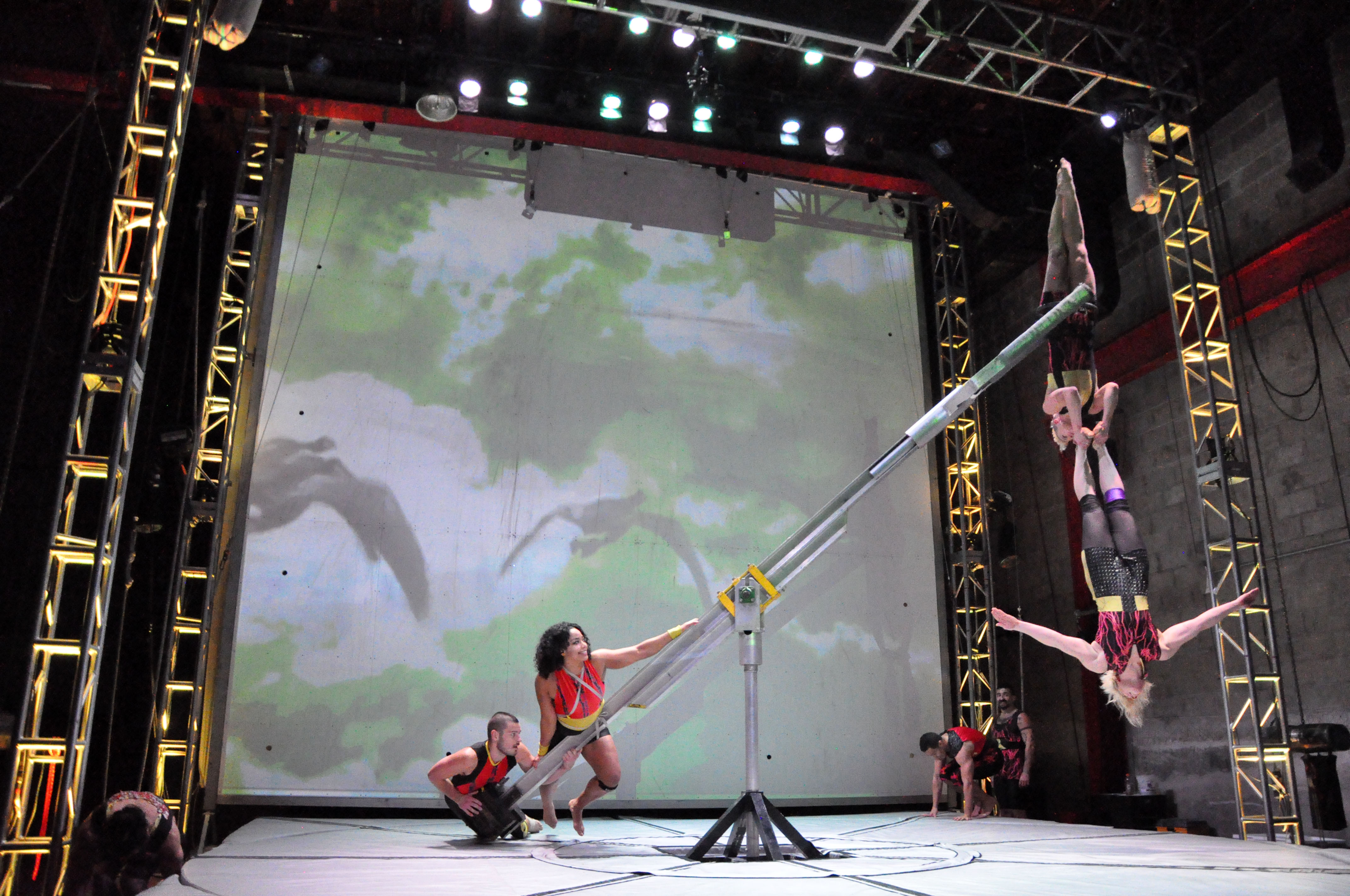 FLY photo: Elyssa Goodman