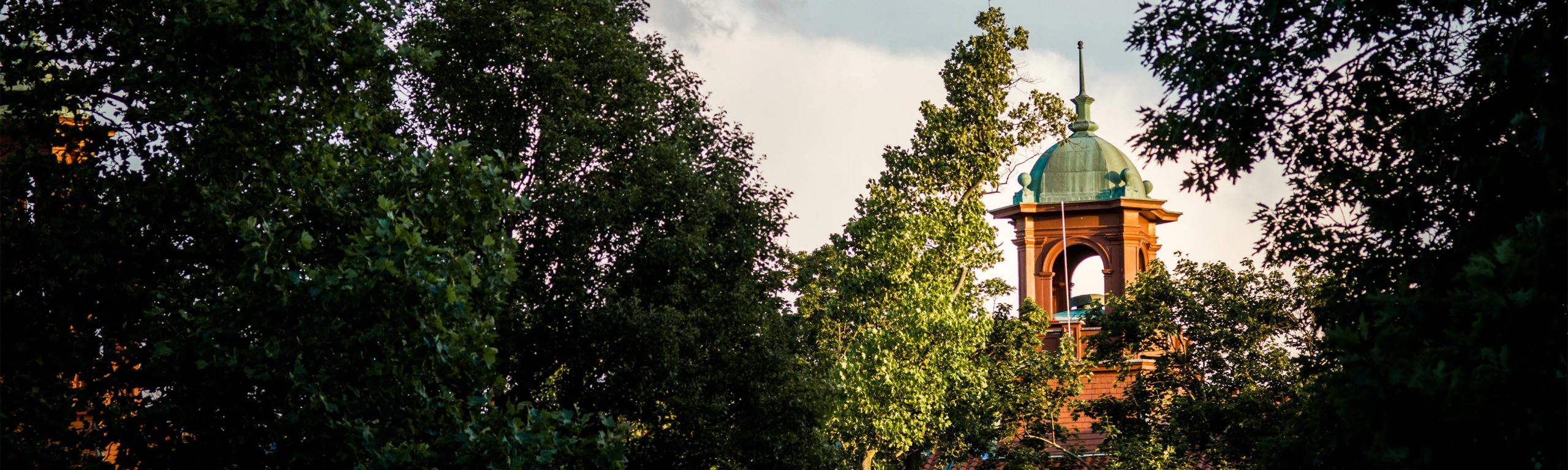 Administration Canvas Montclair State University Administration Canvas Montclair State University