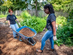 Volunteers spreading mulch