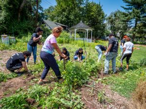 Volunteers tending the plants at Montclair Community farms