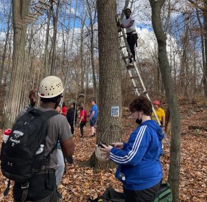 NextGen Students looking above as their peer climbs a tree