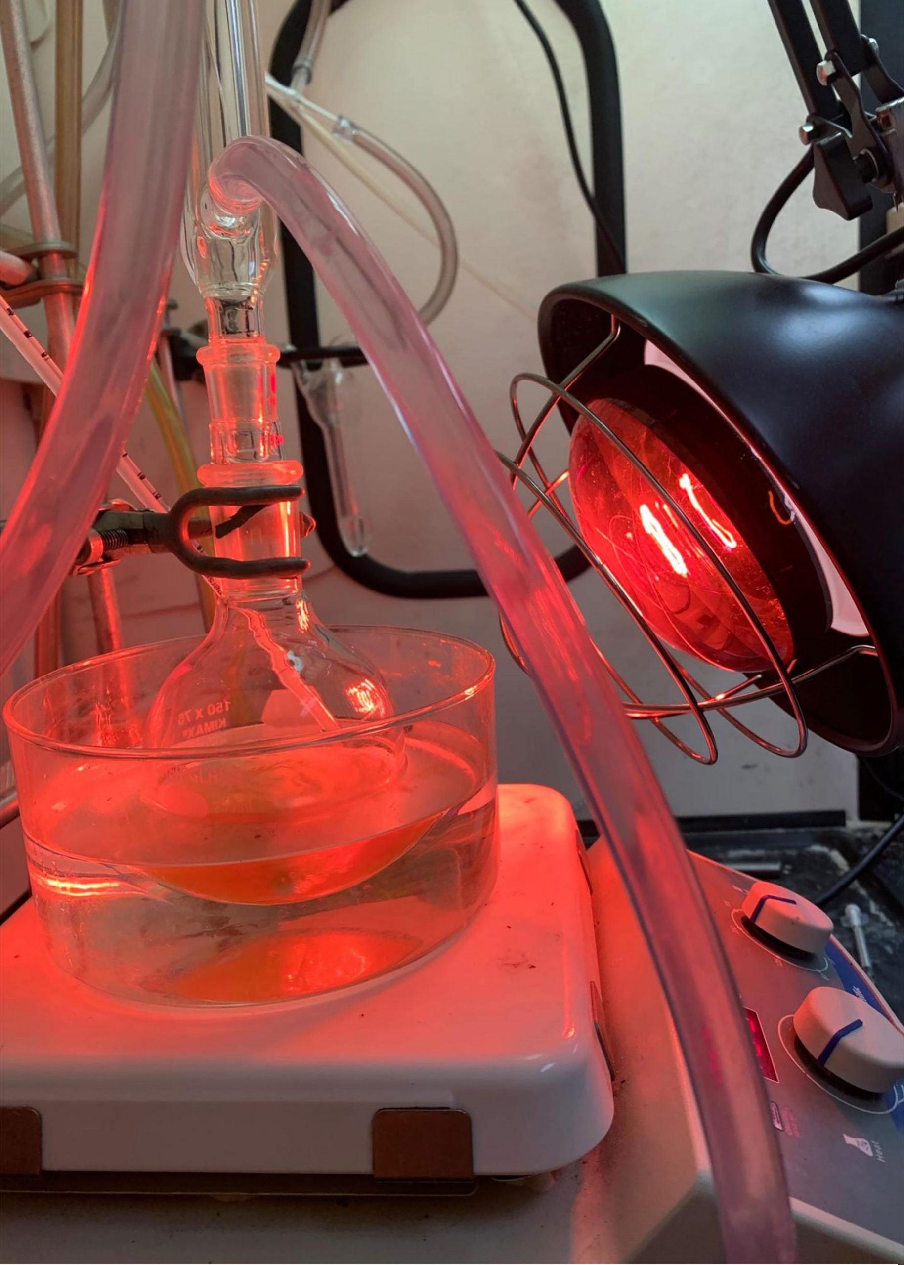 heating sample with heat lamp