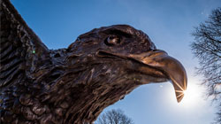 photo of red hawk statue, taken from below, with blue sky and sun in background