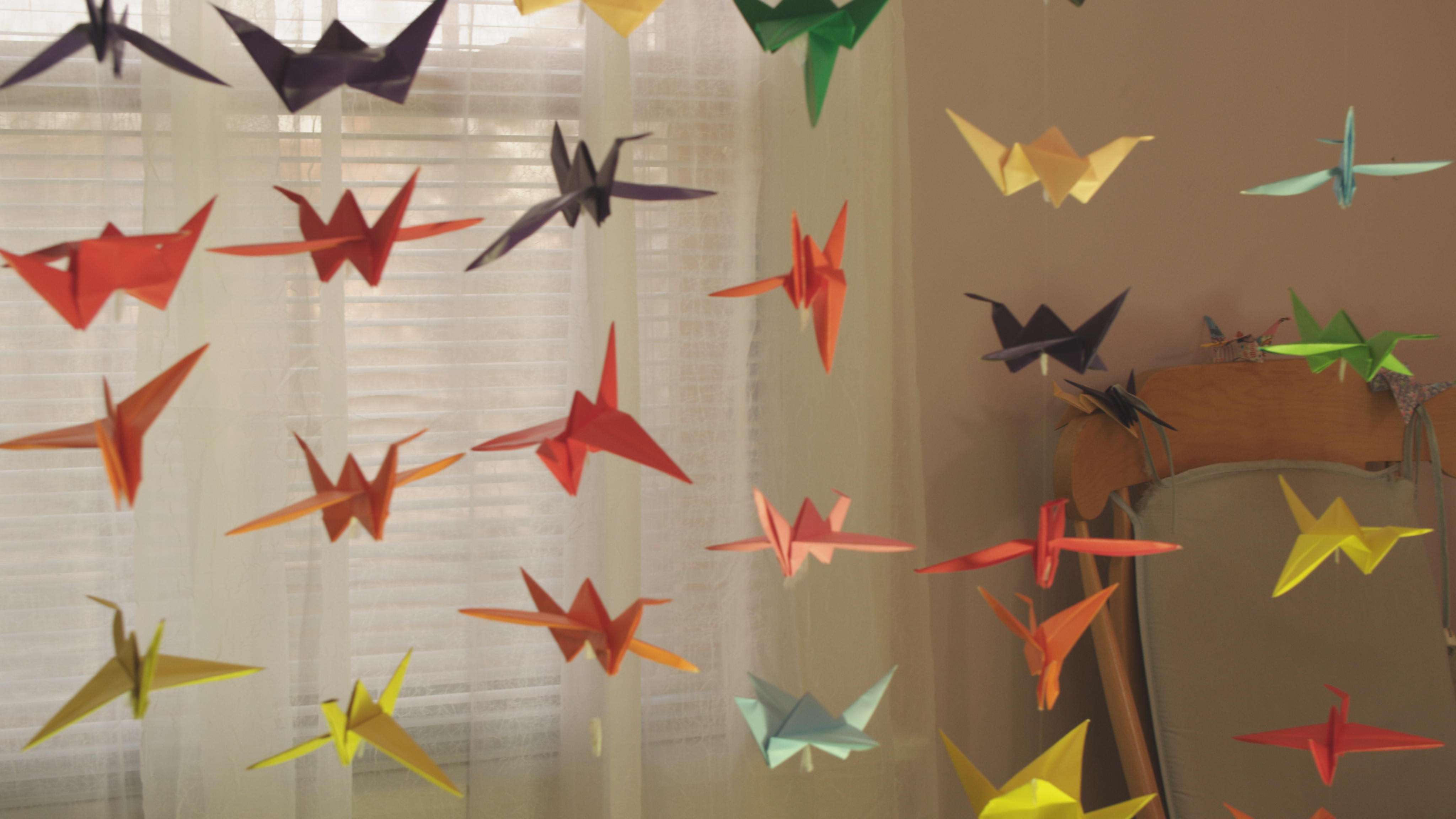 Student's Senior Thesis Film "Folded Hope" Screened at Cannes Film Festival