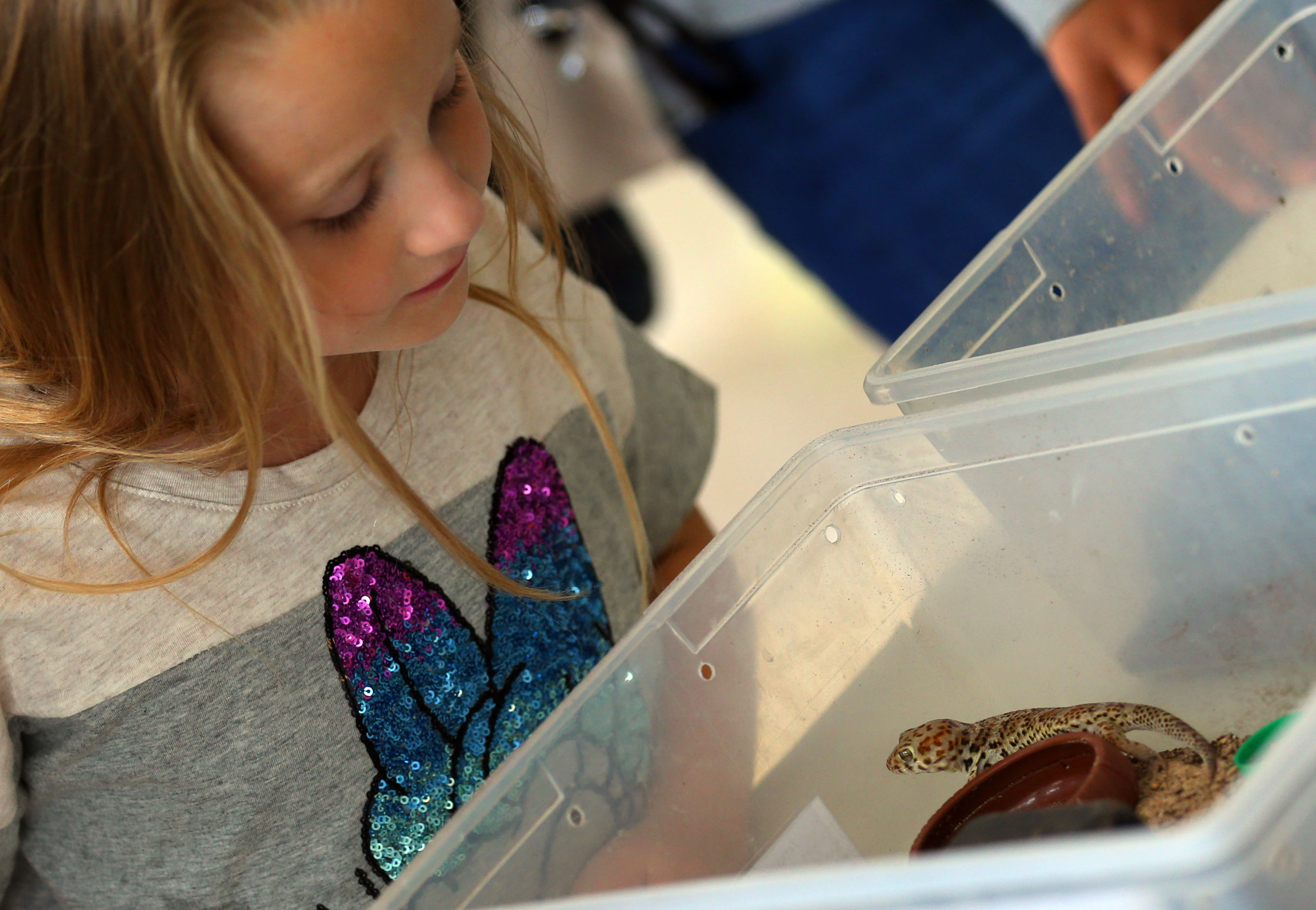 Reptiles and Amphibians