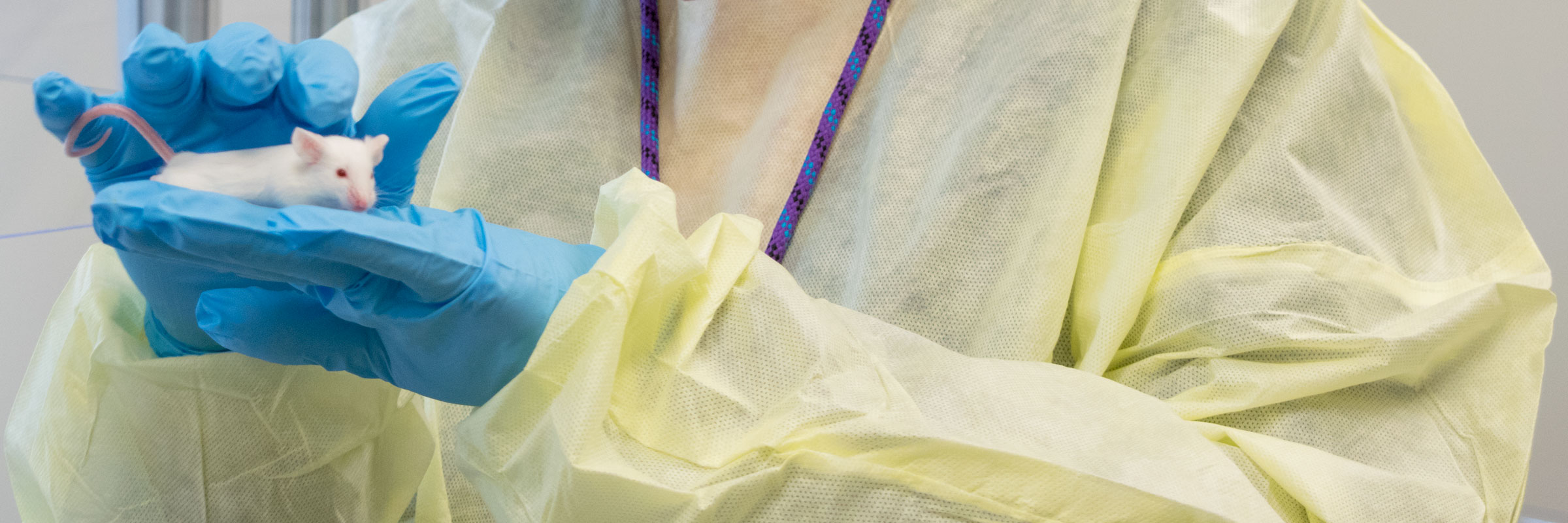 Laboratory Animal Resources College Of Science And Mathematics Montclair State University