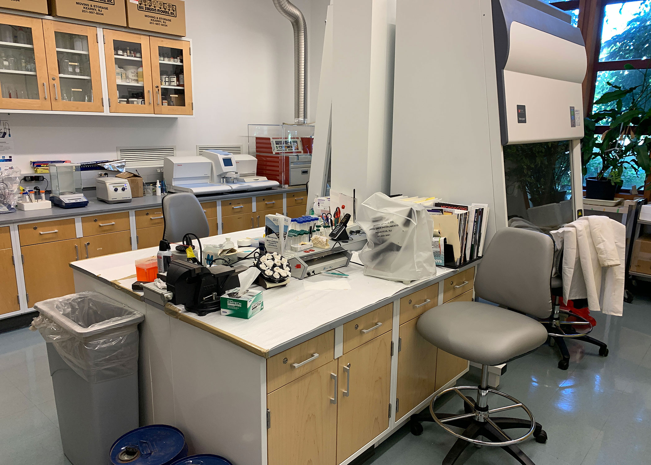 CELS 101 workstation