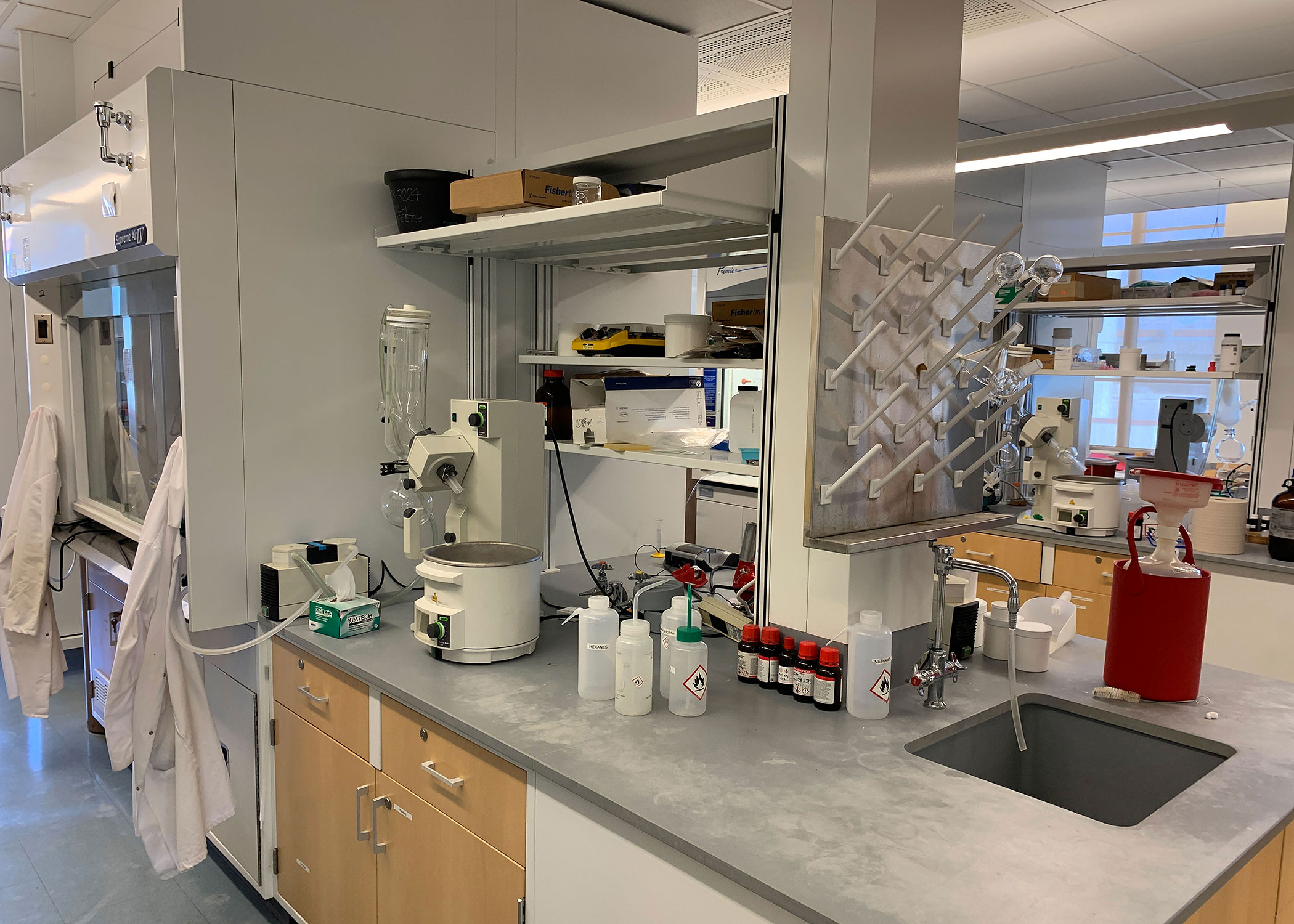 CELS 405 workstation