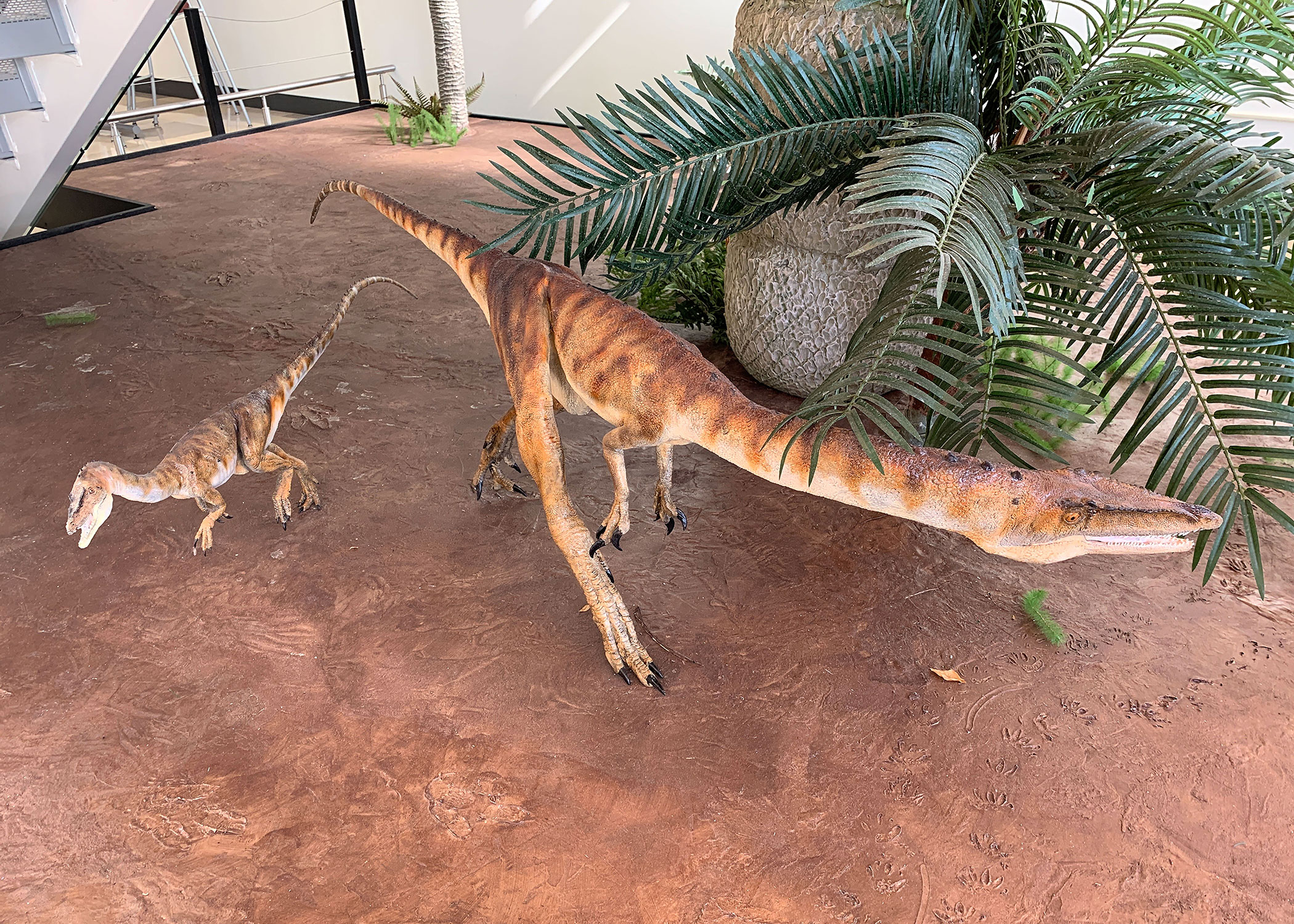 CELS dinosaur exhibit models