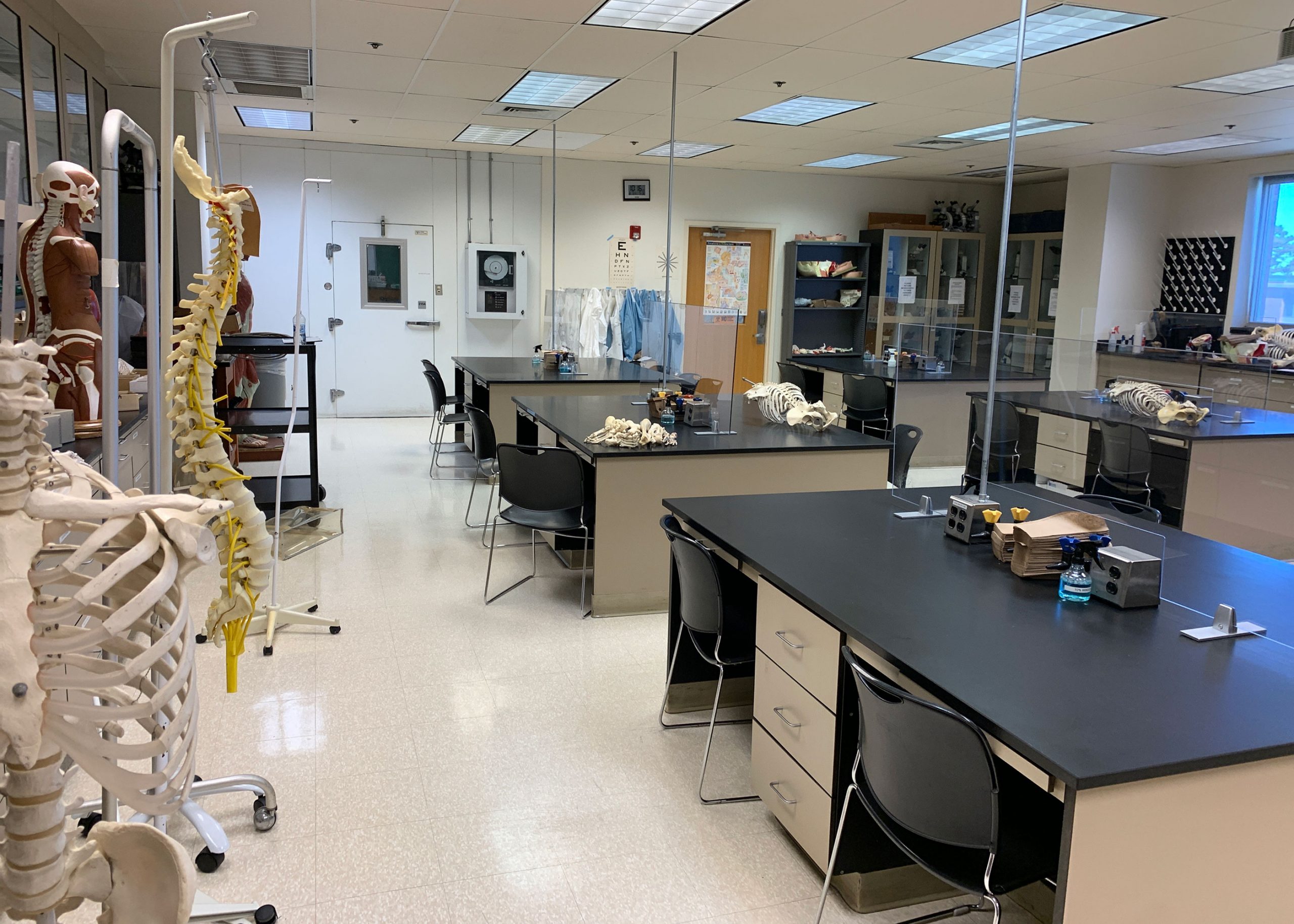 SCIE 215 workstations