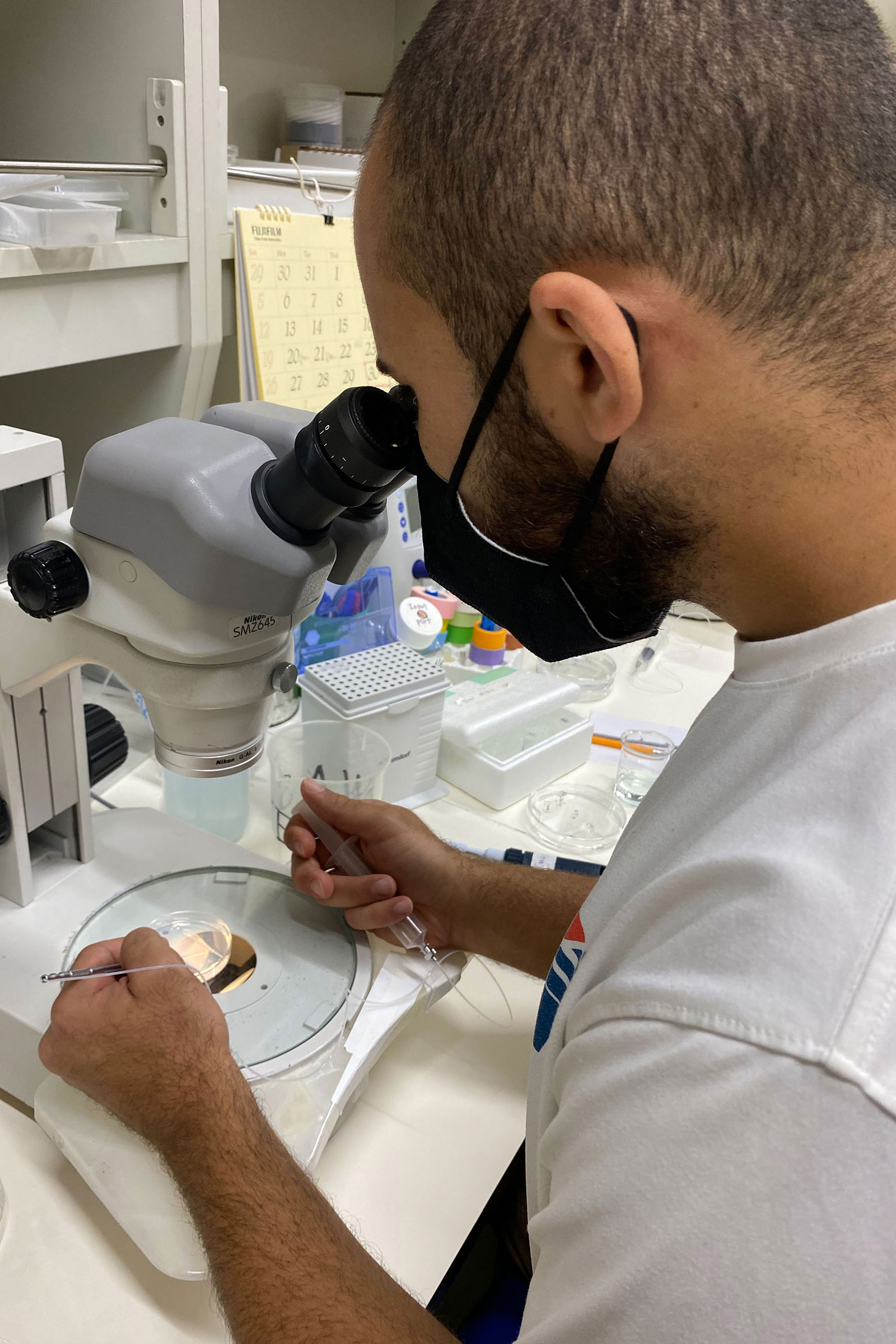 student working in lab