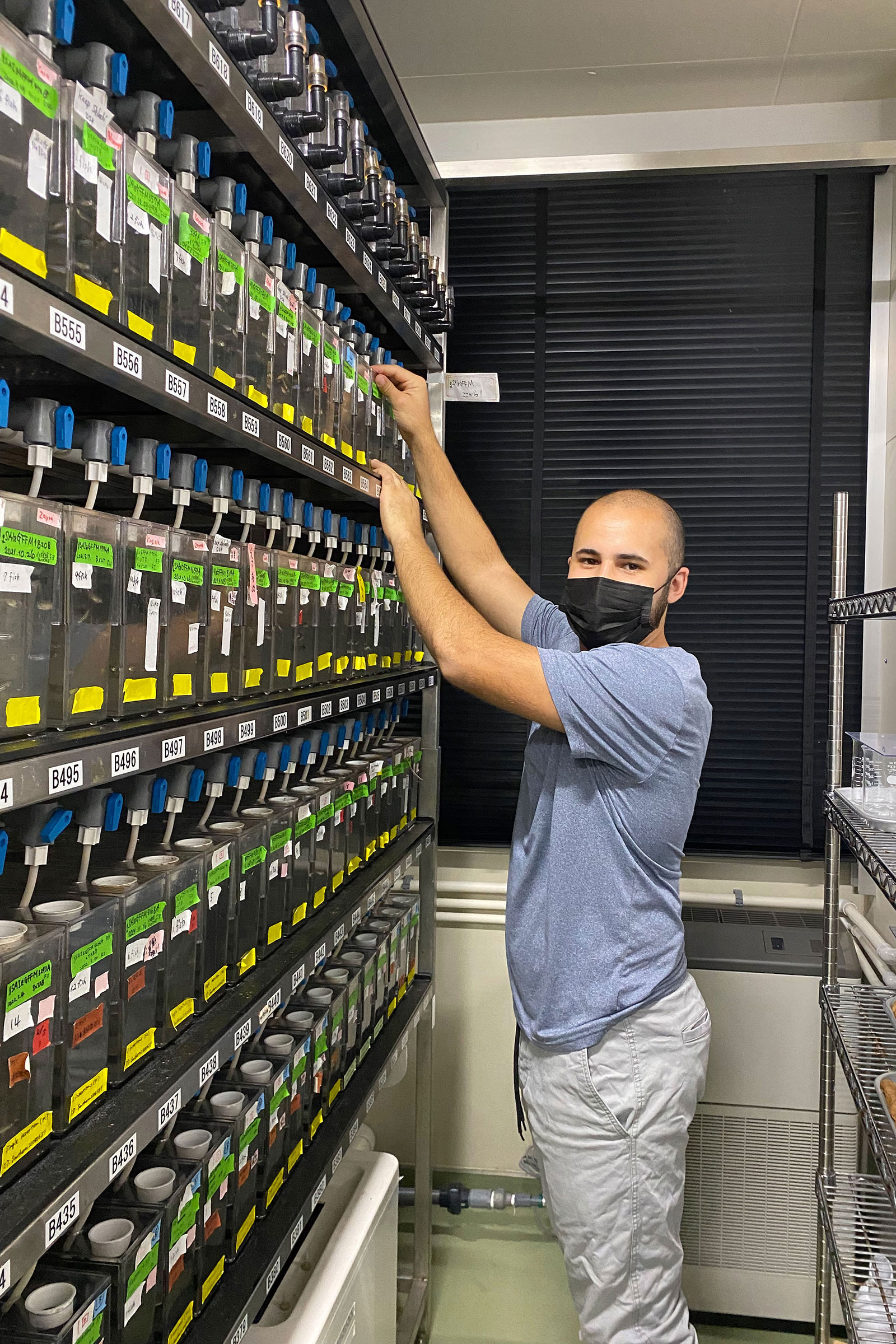 specimen organization