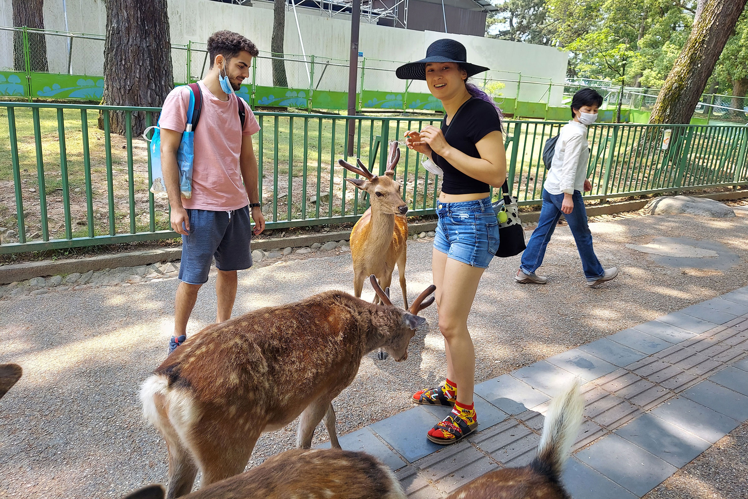 students with deer