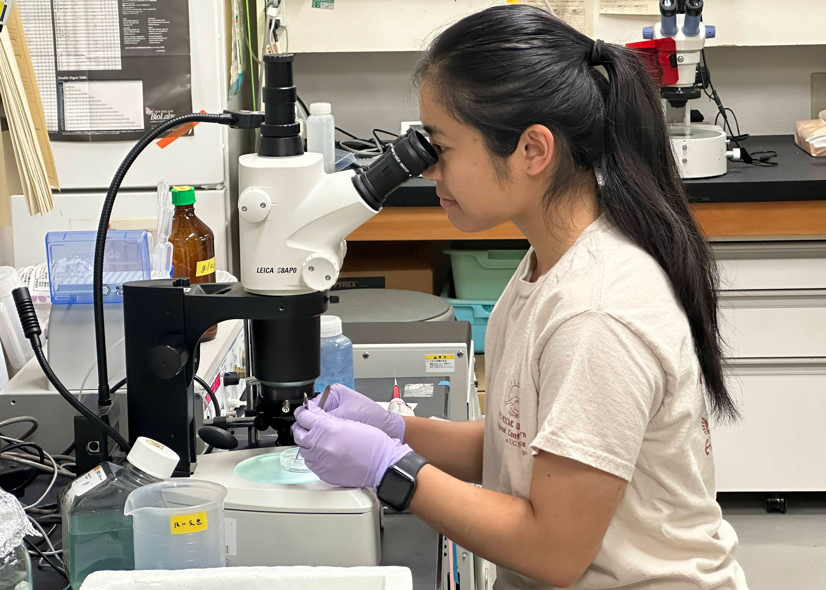 Samantha using microscope