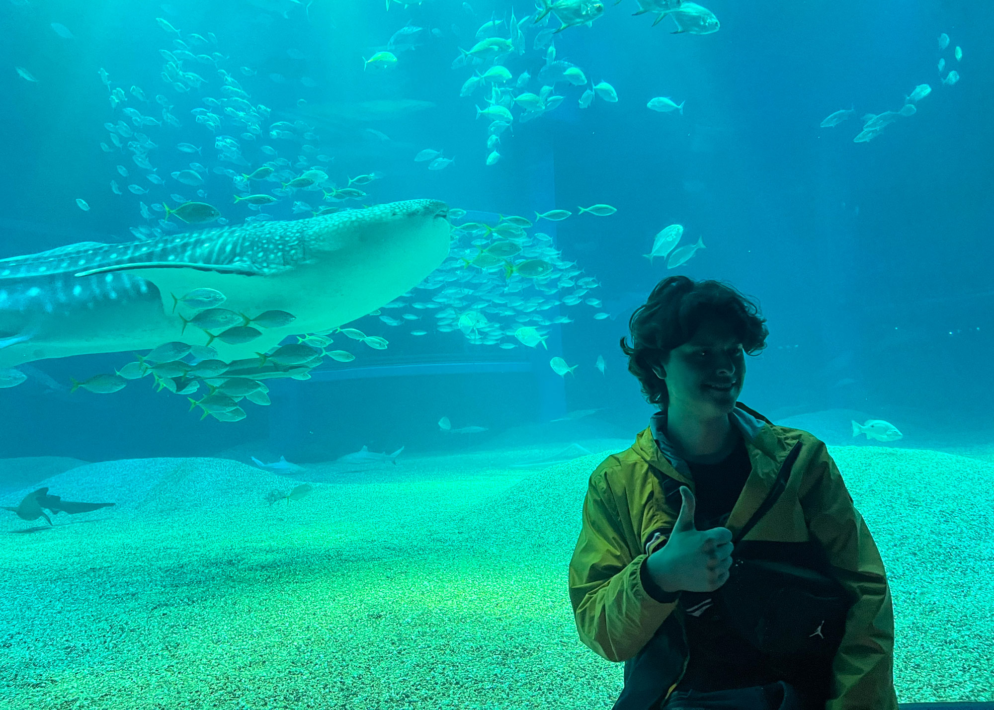 student with large fish at aquarium