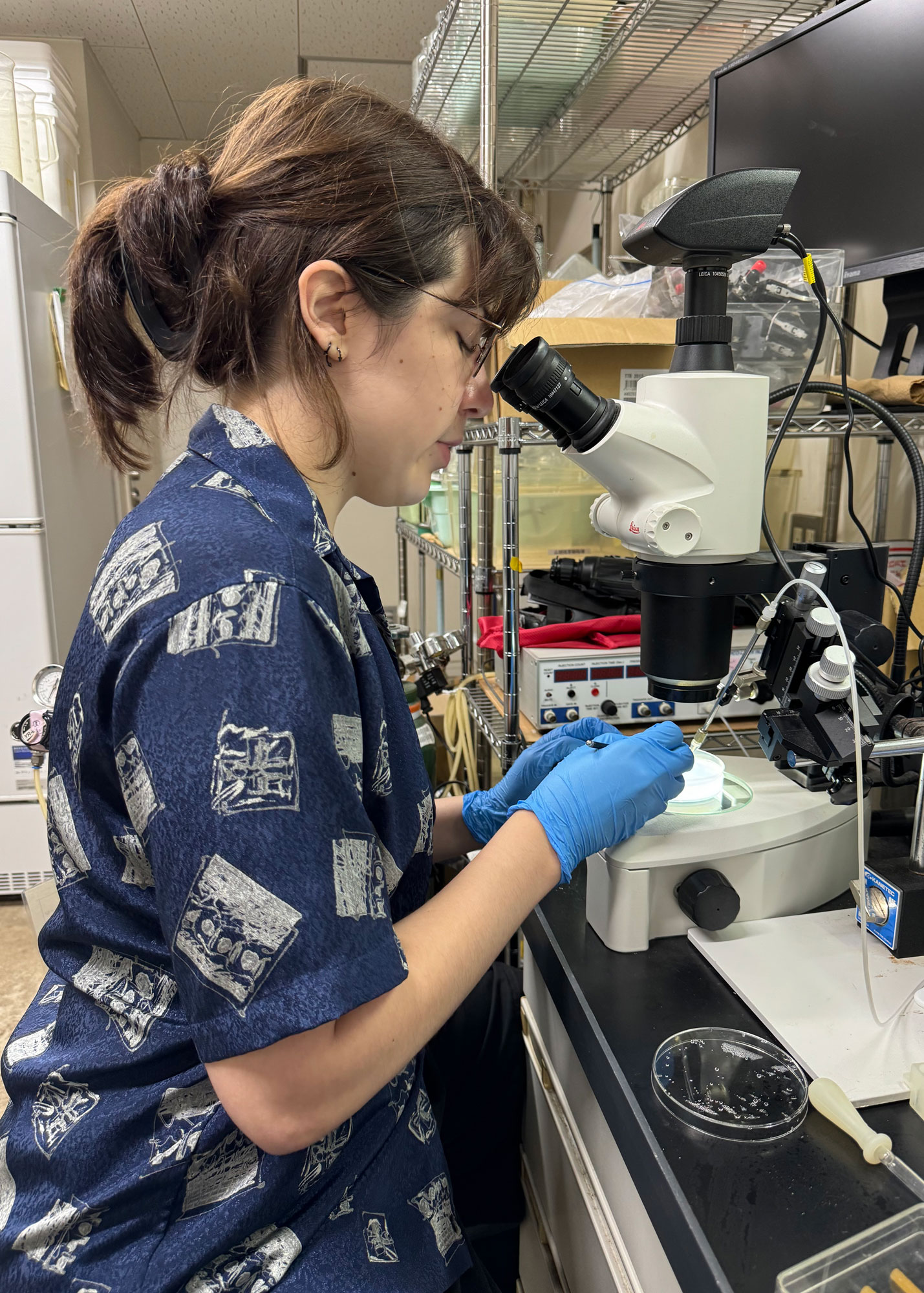 student using microscope