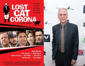 Lost Cat Corona Poster