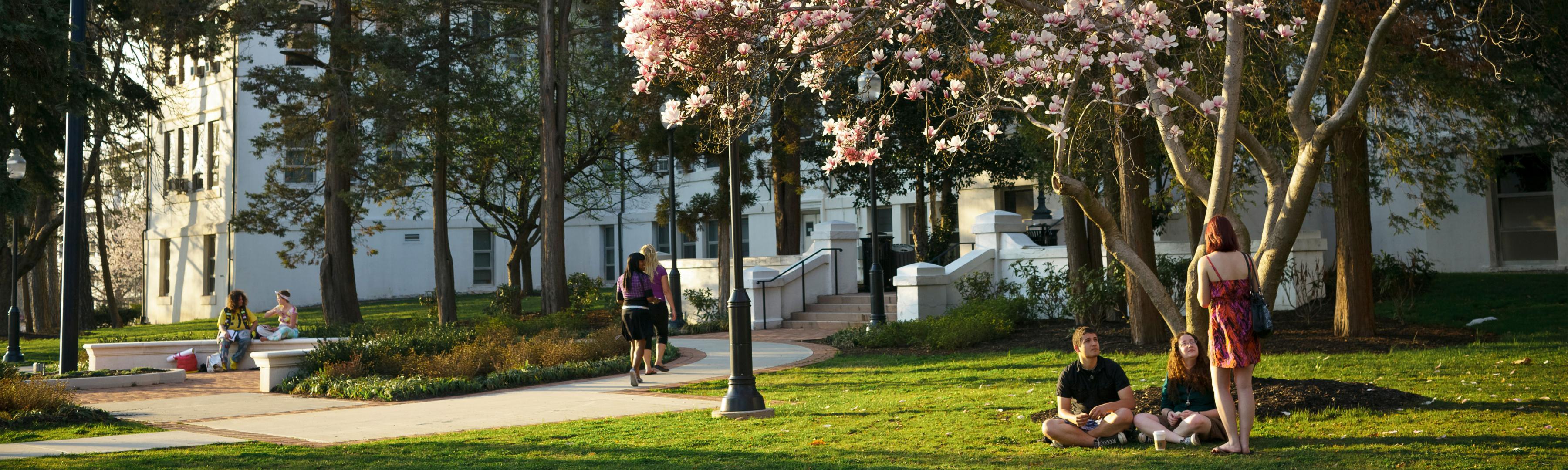 UPDATED Fall 2020 Guidance For New F1 Students Office Of Global