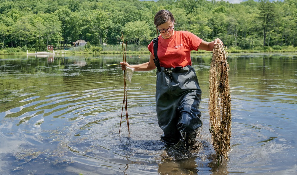 Earth And Environmental Science (MS) Graduate Admissions Montclair