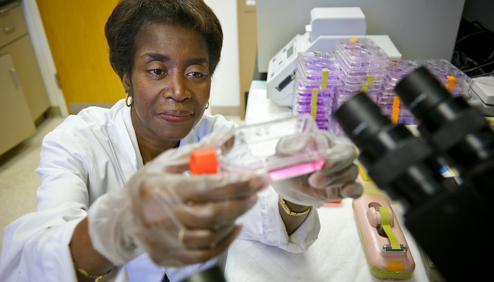 Molecular Biology Academics Montclair State University Biology