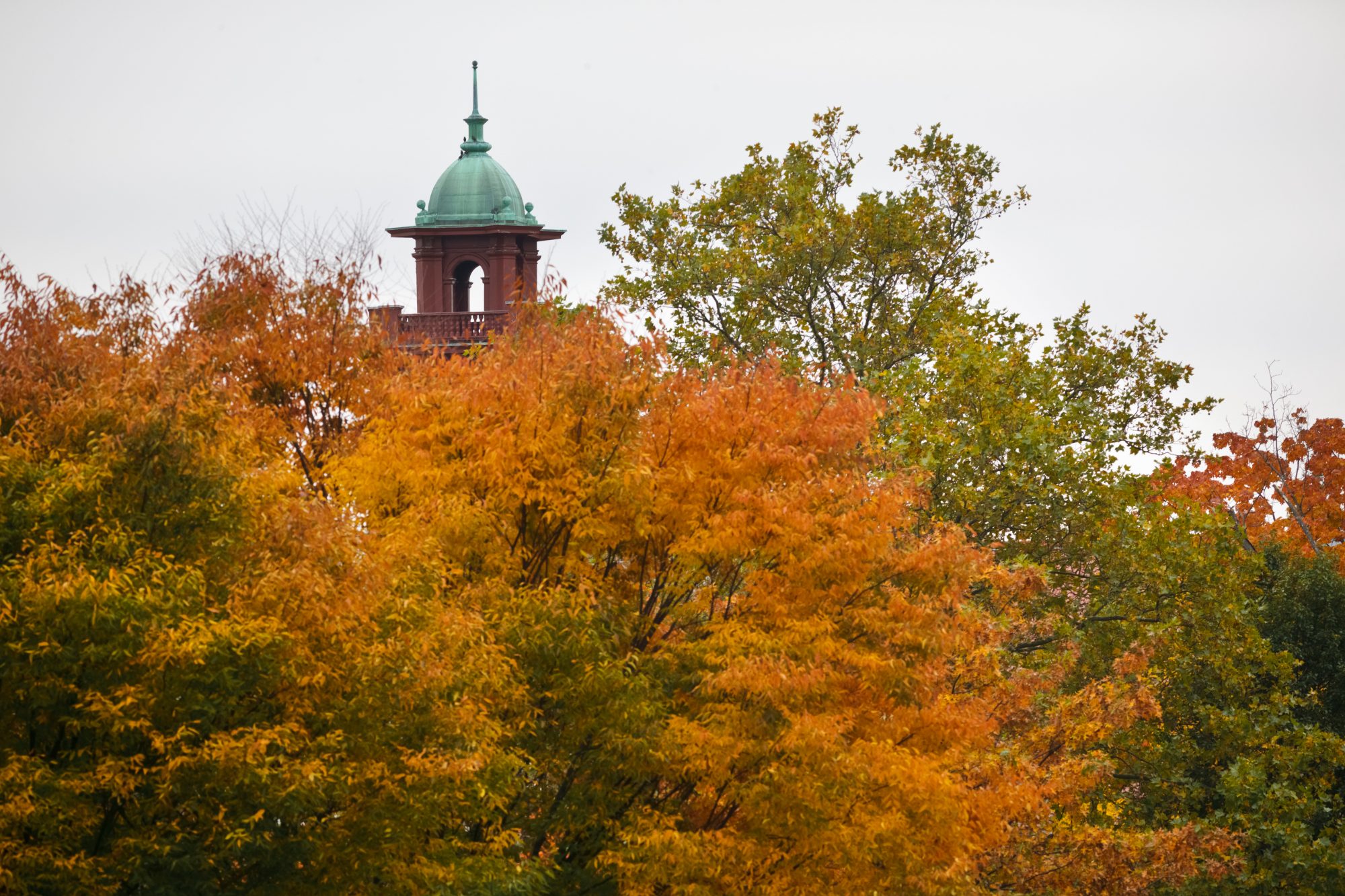 Information Technology Division Montclair State University