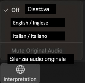 Zoom interpretation options