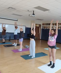 Inserra Summer 2023 Yoga