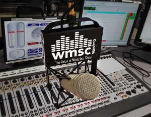 wmsc-mic-2