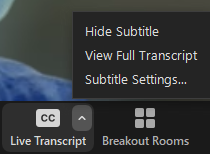 screenshot of zoom control panel detail showing live transcript settings