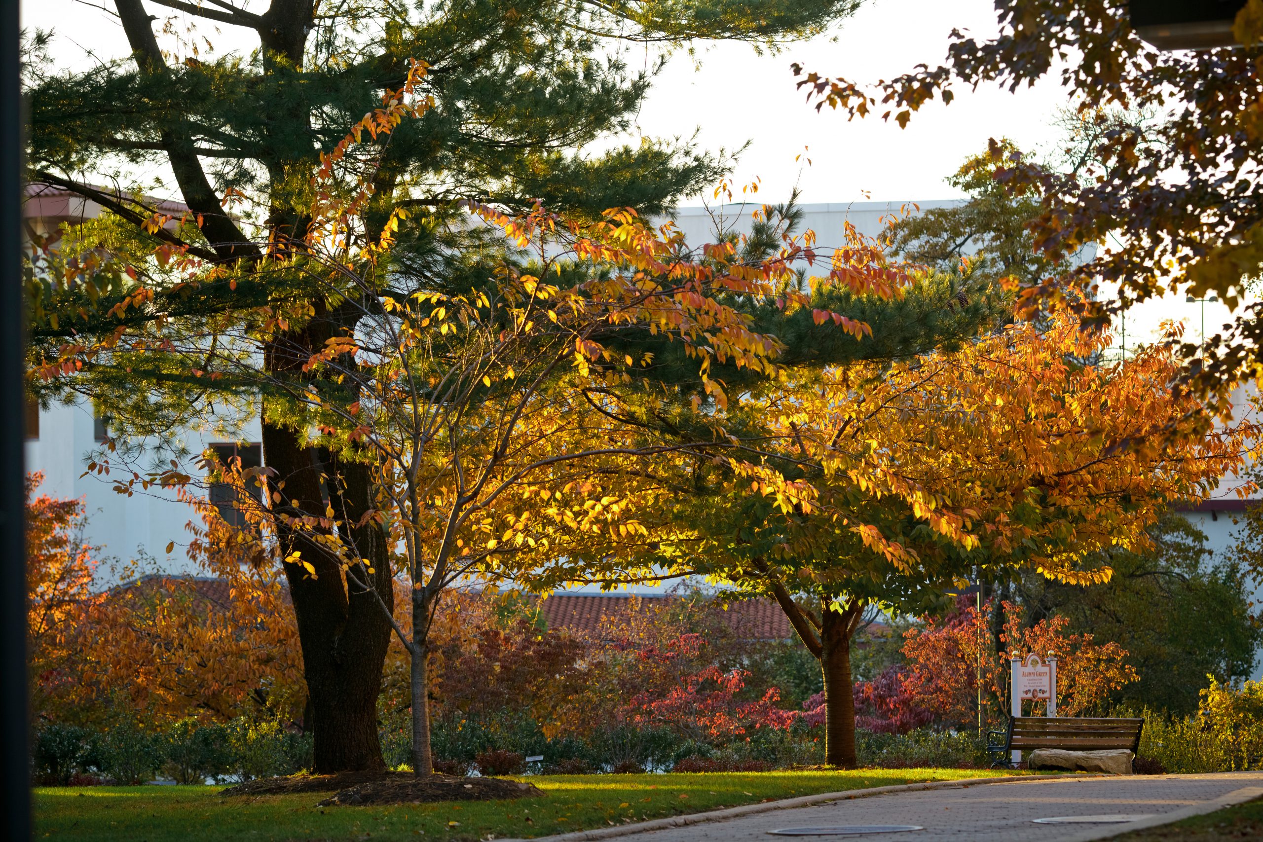 Preparing For The Fall 2022 Semester Instructional Technology And