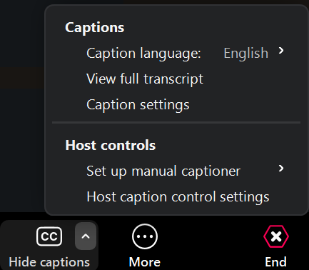 Zoom panel showing caption and host control options