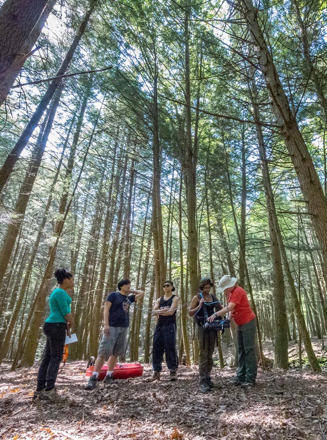Photo of graduate students in a grove of tall trees.