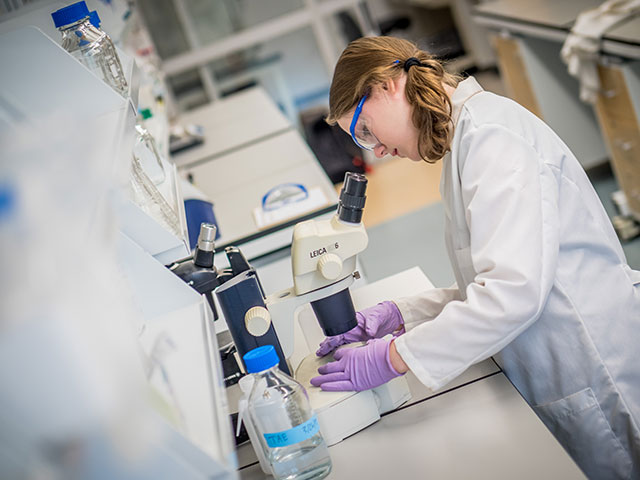 Montclair State University student in one of the many labs in the new Center for Environmental and Life Sciences.