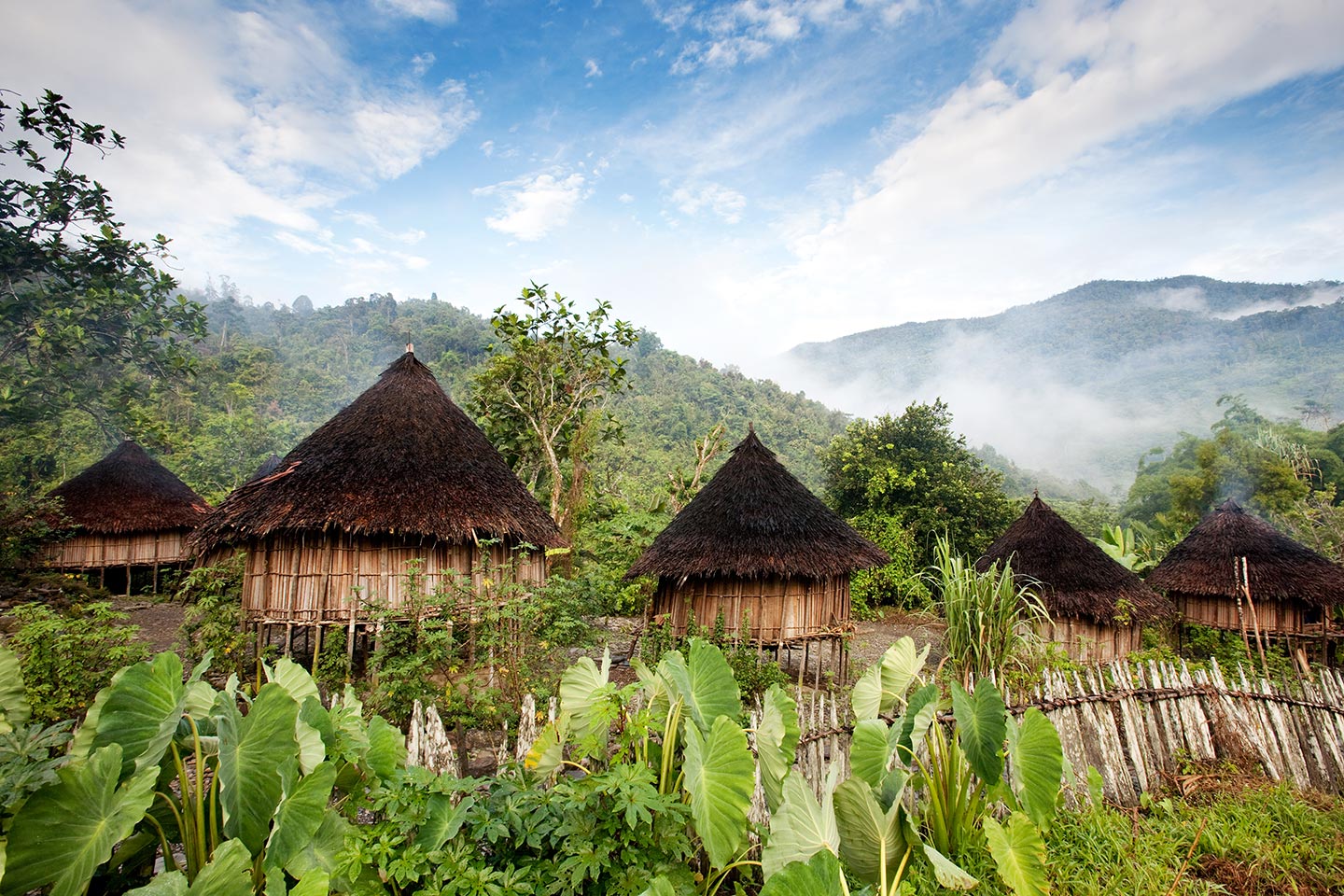 Scenic view of Papua New Guinea and a row of huts amid greenery.