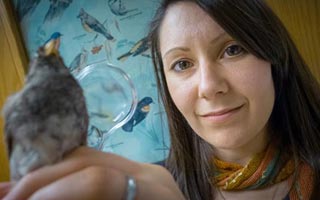 Photo of researcher holding a bird.