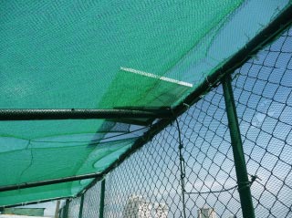 Photo of garden fence.