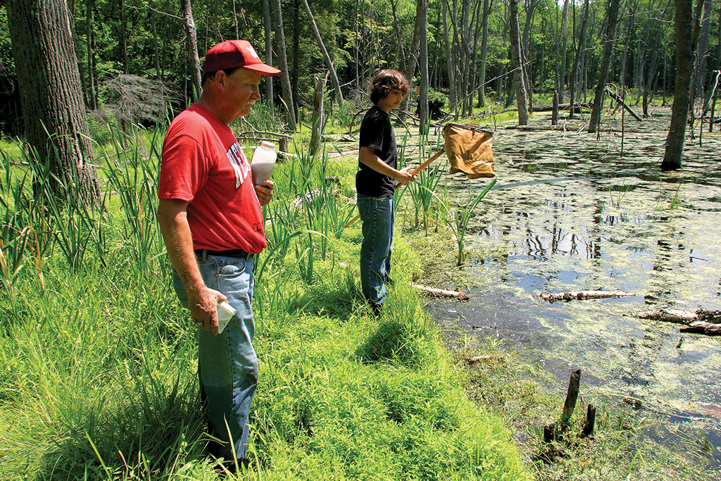School of Conservation at swampland