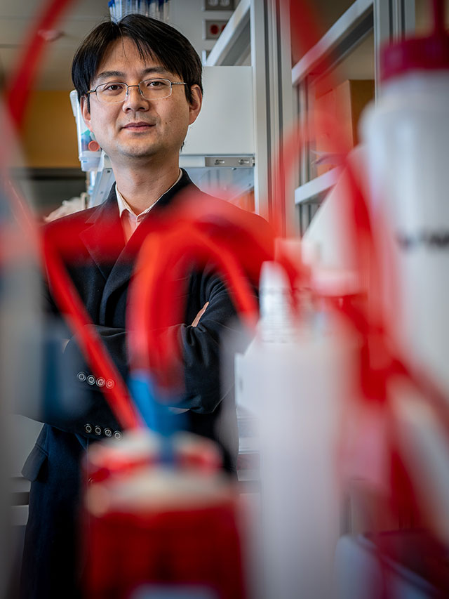 Inspired by his personal experiences with hurricanes, Yang Deng created a water treatment device that can be used following natural disasters.