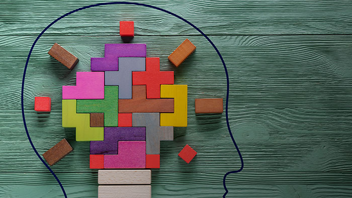 Diagram of head with brain made of blocks
