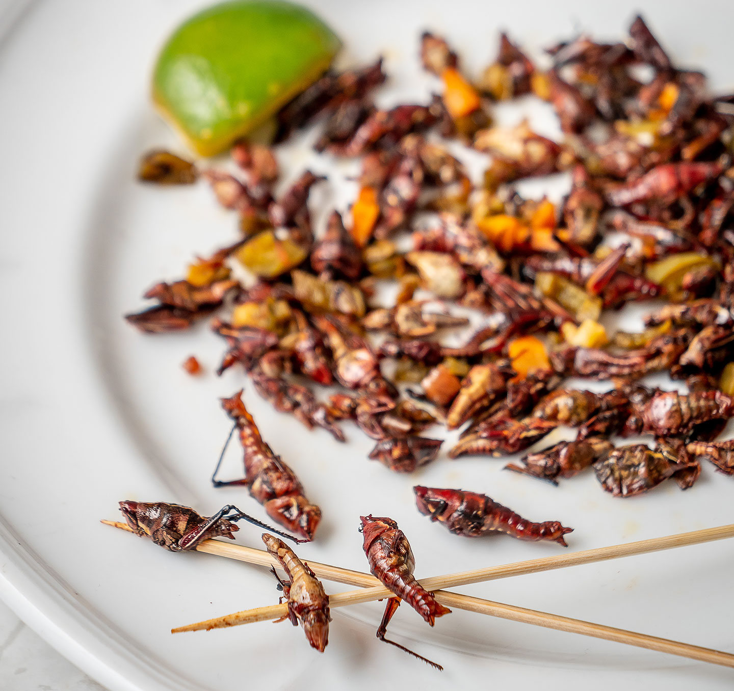 This plate of grasshoppers (chapulines) is from Tolache, a Mexican restaurant in New York City.