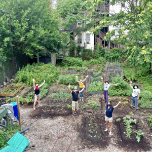 Green Teams students working in a Newark Science and Sustainability community garden