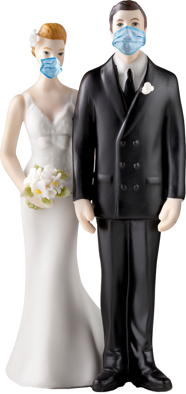 Bride and groom toys wearing masks