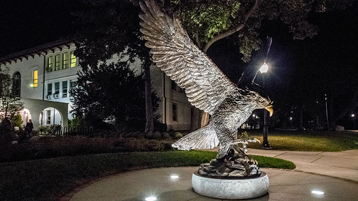 Red Hawk statue at night