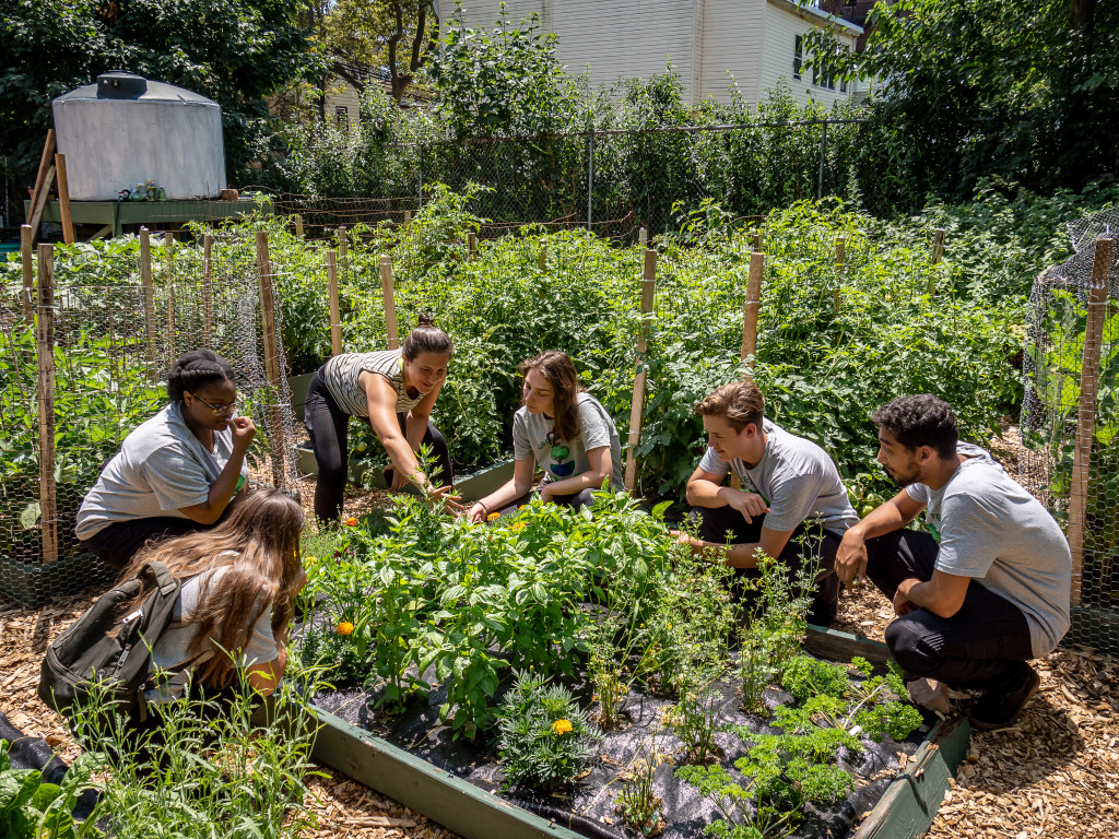 Green Team members tend to a community garden in Newark.