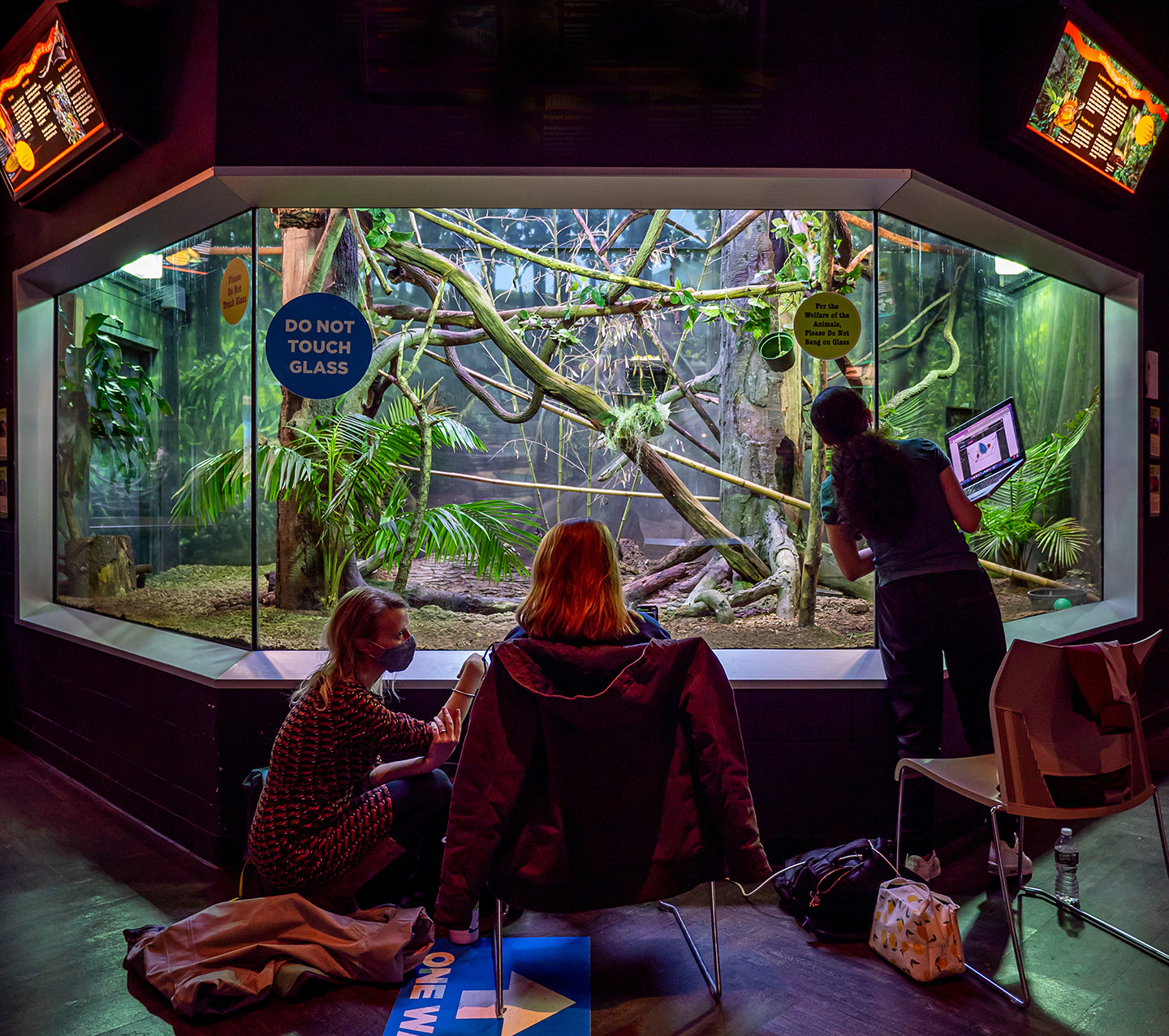 Students observing zoo exhibit behind glass