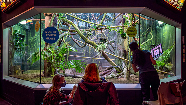 Students observing zoo exhibit behind glass