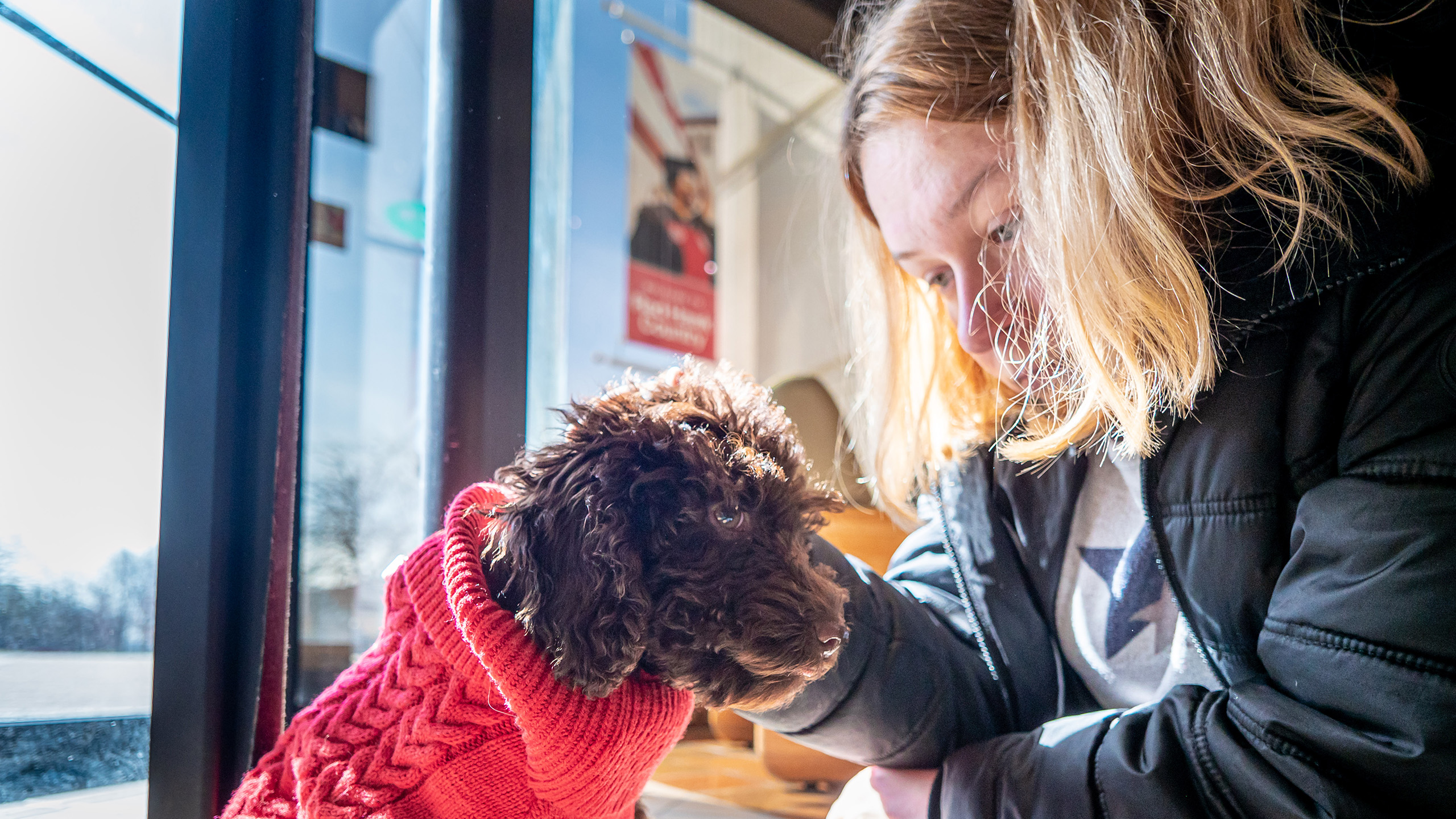student petting Pebbles the campus pupscot