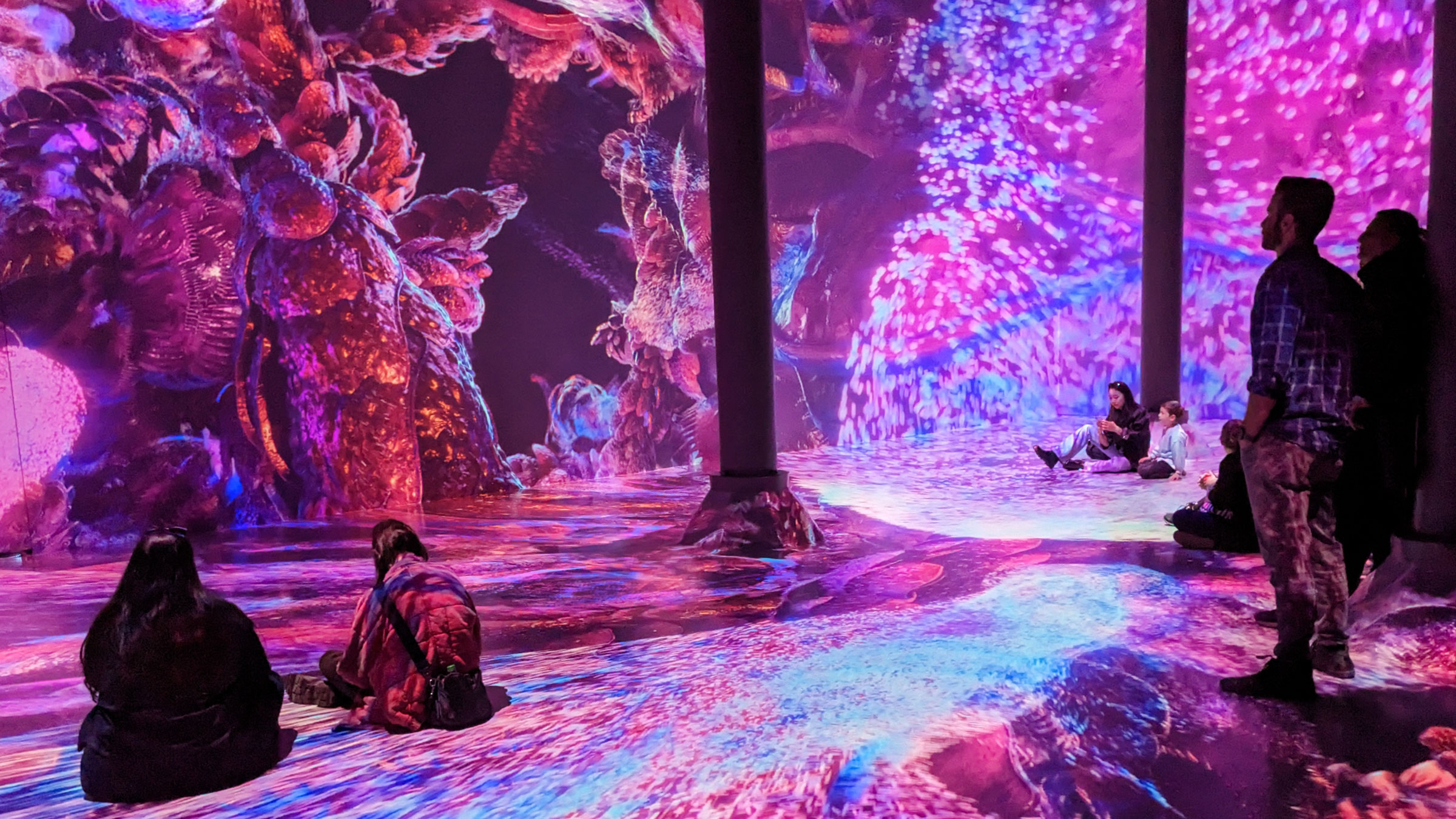 Application & Admission Requirements – Mathematics Education PhD ...